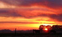 Western Victorian Sunrise