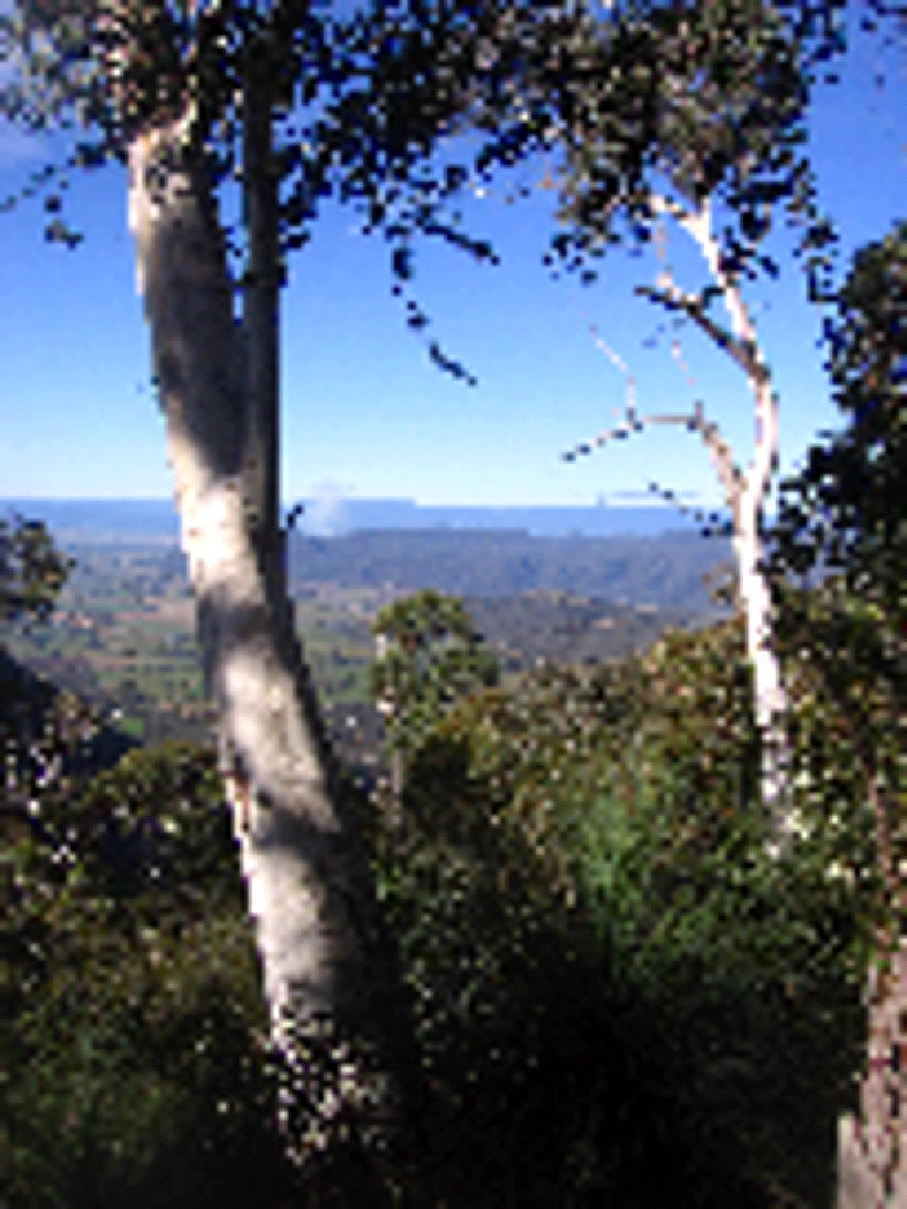 Campbell's Lookout (High Country)